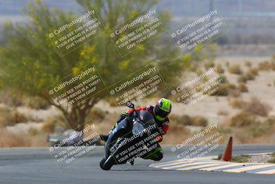 media/Apr-10-2022-SoCal Trackdays (Sun) [[f104b12566]]/Turn 5 Tree of Life (1040am)/